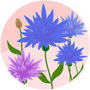 Kamer Ataseven Kamer Ataseven